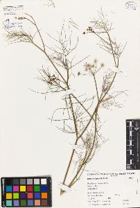 SW_BNB_s3080-02645_IMG-0000000001