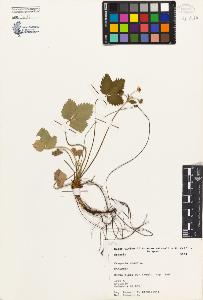 SW_BNB_s3080-02647_IMG-0000000001