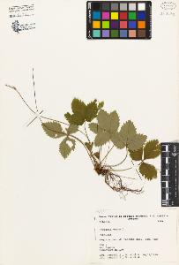 SW_BNB_s3080-02649_IMG-0000000001