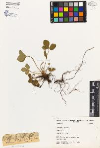 SW_BNB_s3080-02650_IMG-0000000001