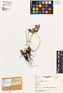 SW_BNB_s3080-02651_IMG-0000000001
