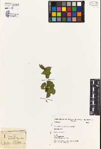 SW_BNB_s3080-02655_IMG-0000000001