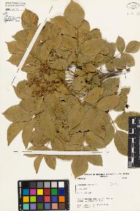 SW_BNB_s3080-02659_IMG-0000000001