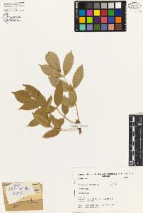 SW_BNB_s3080-02663_IMG-0000000001