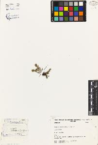SW_BNB_s3080-02668_IMG-0000000001