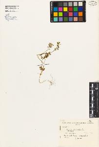 SW_BNB_s3080-02672_IMG-0000000001
