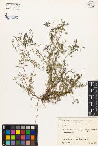 SW_BNB_s3080-02673_IMG-0000000001