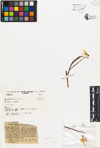 SW_BNB_s3080-02676_IMG-0000000001