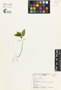SW_BNB_s3080-02682_IMG-0000000001