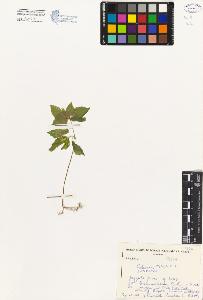 SW_BNB_s3080-02683_IMG-0000000001