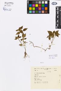 SW_BNB_s3080-02685_IMG-0000000001