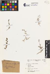 SW_BNB_s3080-02689_IMG-0000000001