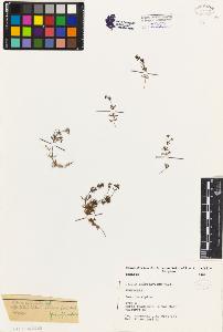 SW_BNB_s3080-02691_IMG-0000000001