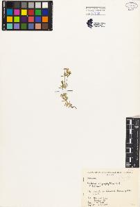 SW_BNB_s3080-02692_IMG-0000000001