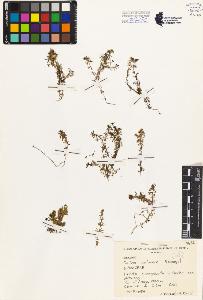 SW_BNB_s3080-02694_IMG-0000000001