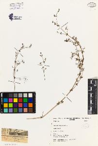 SW_BNB_s3080-02702_IMG-0000000001