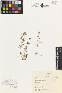 SW_BNB_s3080-02704_IMG-0000000001