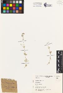 SW_BNB_s3080-02706_IMG-0000000001