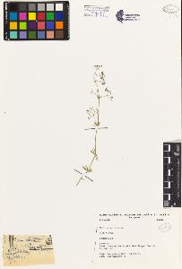 SW_BNB_s3080-02707_IMG-0000000001