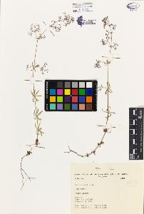 SW_BNB_s3080-02708_IMG-0000000001