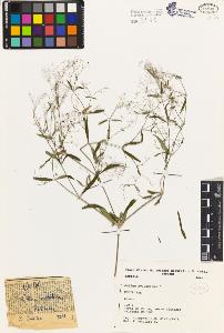 SW_BNB_s3080-02710_IMG-0000000001