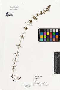 SW_BNB_s3080-02714_IMG-0000000001