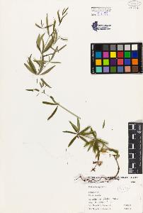 SW_BNB_s3080-02716_IMG-0000000001