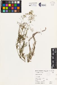 SW_BNB_s3080-02717_IMG-0000000001