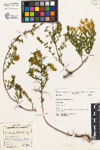SW_BNB_s3080-02725_IMG-0000000001