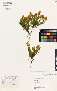 SW_BNB_s3080-02726_IMG-0000000001
