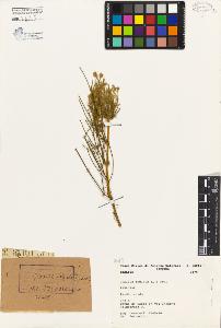 SW_BNB_s3080-02728_IMG-0000000001