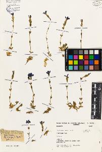 SW_BNB_s3080-02740_IMG-0000000001
