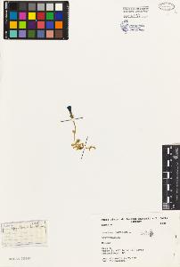 SW_BNB_s3080-02741_IMG-0000000001