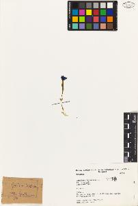 SW_BNB_s3080-02742_IMG-0000000001