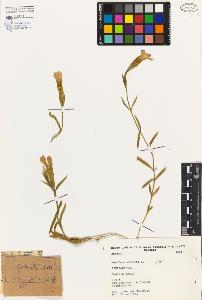 SW_BNB_s3080-02744_IMG-0000000001