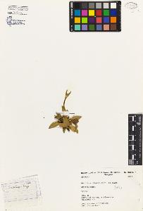 SW_BNB_s3080-02747_IMG-0000000001
