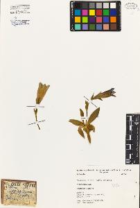 SW_BNB_s3080-02749_IMG-0000000001