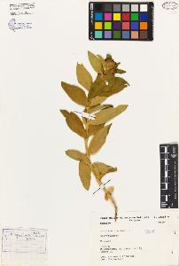 SW_BNB_s3080-02752_IMG-0000000001