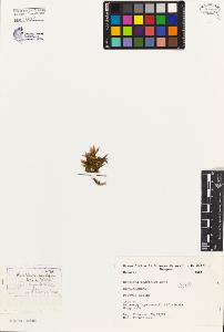 SW_BNB_s3080-02754_IMG-0000000001