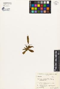SW_BNB_s3080-02759_IMG-0000000001