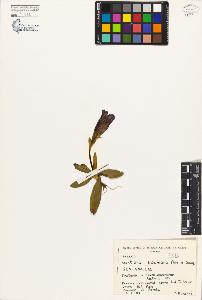 SW_BNB_s3080-02760_IMG-0000000001