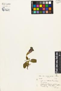 SW_BNB_s3080-02762_IMG-0000000001