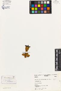 SW_BNB_s3080-02764_IMG-0000000001