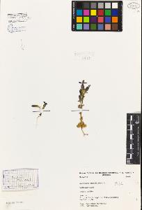 SW_BNB_s3080-02776_IMG-0000000001