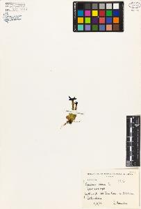SW_BNB_s3080-02779_IMG-0000000001