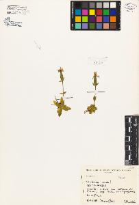 SW_BNB_s3080-02781_IMG-0000000001