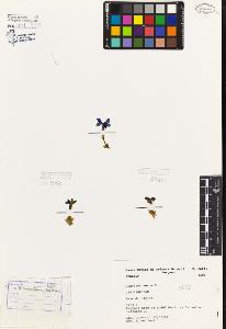 SW_BNB_s3080-02784_IMG-0000000001