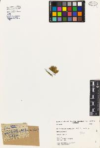 SW_BNB_s3080-02792_IMG-0000000001