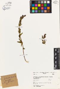 SW_BNB_s3080-02793_IMG-0000000001