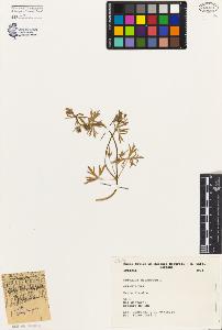 SW_BNB_s3080-02797_IMG-0000000001